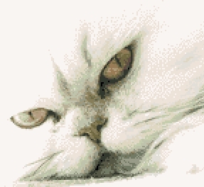 Котки35