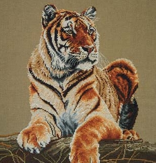 Котки56